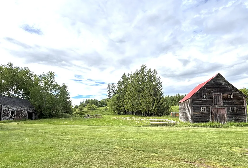 Manoir-Hamilton-terrain